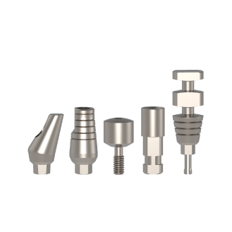 Dental prosthetics category