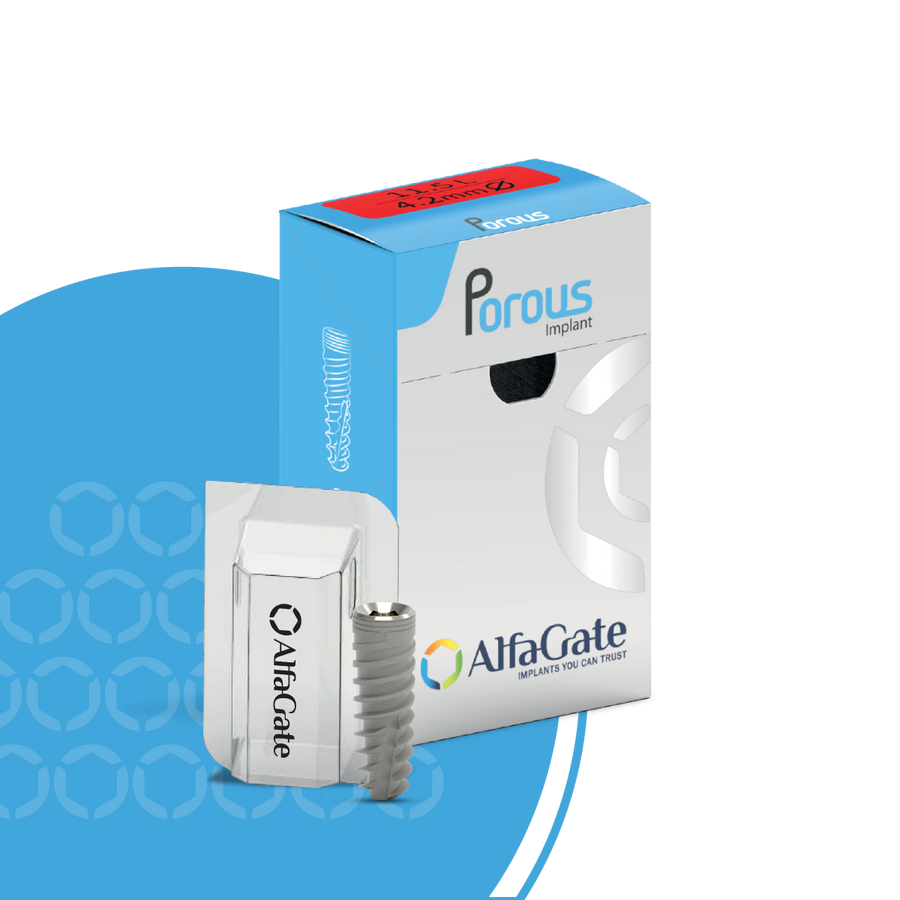 Porous implant system