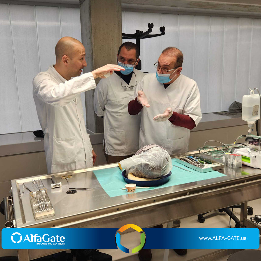 ALFA GATE ACADEMY IN AUSTRIA!